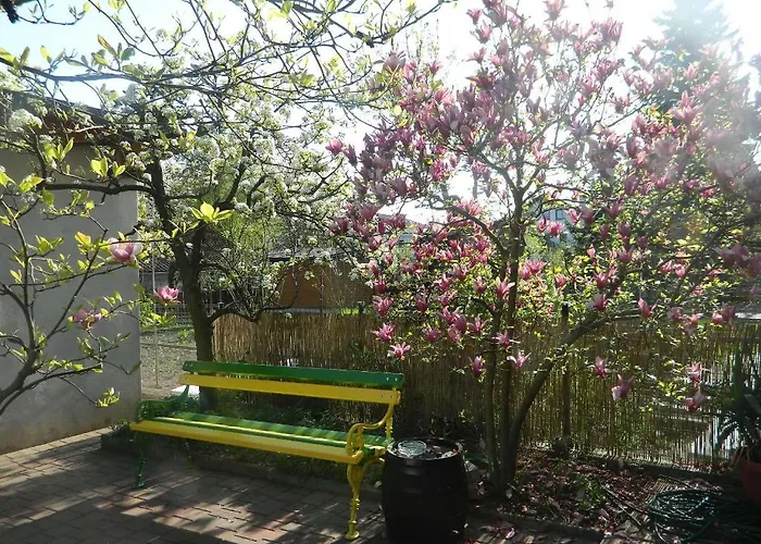 Guest house Peter 3*